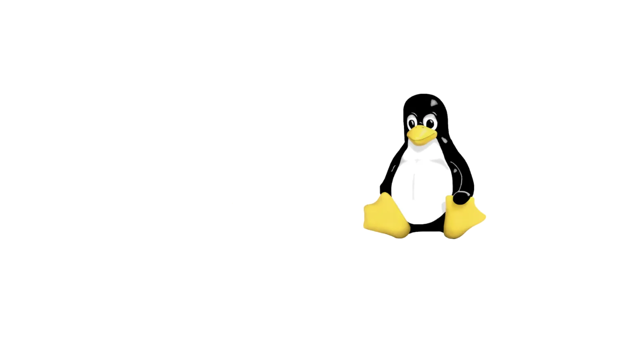 penguin